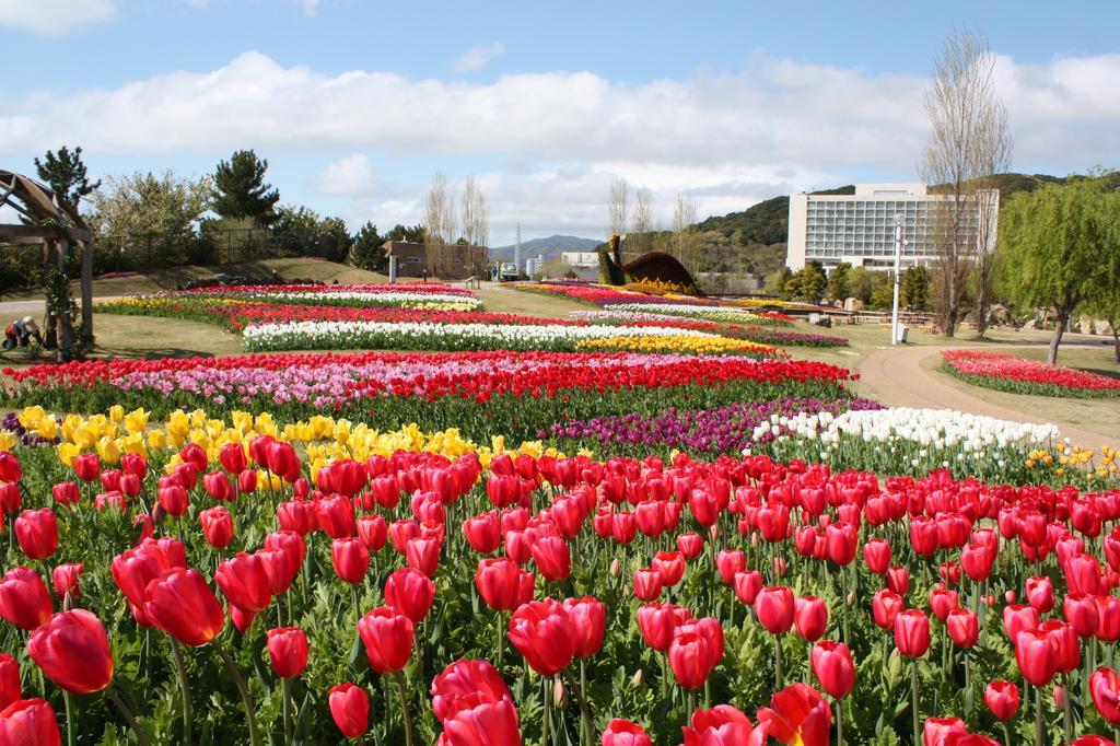 แกรนด์ นิกโกะ อาวาจิ Hotel Awaji ภายนอก รูปภาพ